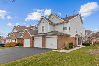 1495 Ashbury Ln W Unit 6, Roselle, IL 60172