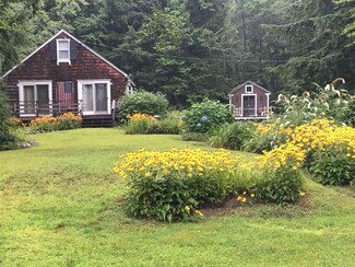 154 Shore Dr N, Bristol, NH 03222