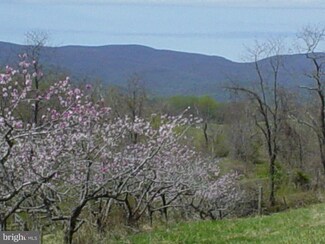 0 Ben Venue Rd Unit 1000113599, Flint Hill, VA 22627