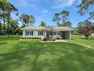 102 W Jeter St, Climax, GA 39834