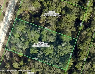 Lot 17 Canyon Swallow Rd, Weeki Wachee, FL 34614