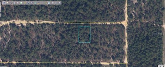 6213 Oglethorpe Ave, Keystone Heights, FL 32656