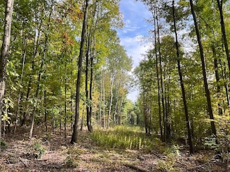 0 Thayer Rd Unit LotWP001 23190312, Erin, NY 14838