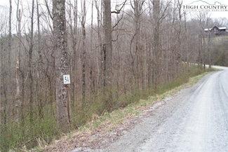 Lot 54 Toms Knob Rd, Sparta, NC 28675