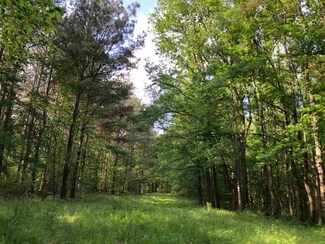 2 Doc Webb Rd Unit 2, Lena, MS 39094