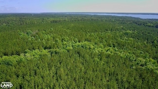 0 Pebble Cove Rd, Abbeville, AL 36310
