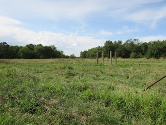 Tr 1 N Metzletein Rd, East Polk Township, MO 65610
