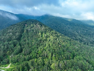 000 Sylvan Way, Roan Mountain, TN 37687