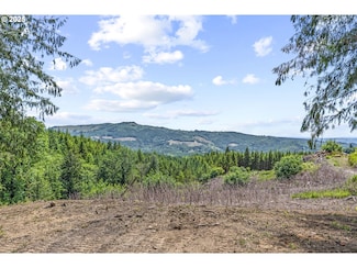 1899 Mount Pleasant Rd, Kelso, WA 98626