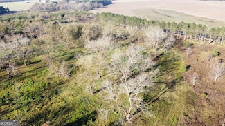 7-9 County Line Rd, Elko, GA 31025