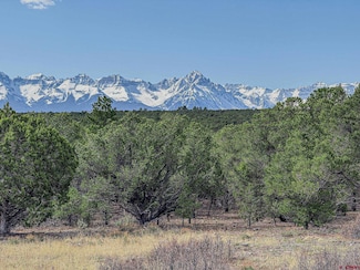 1164 Sage Rd, Montrose, CO 81432