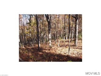 0 Sun Valley Rd Unit M238863, Auburn, WV 26325