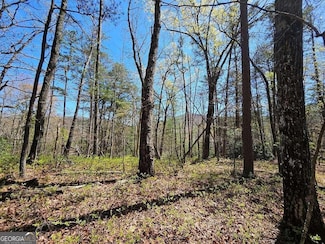 5.22 Deer Crest Rd, Blue Ridge, GA 30513