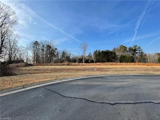 3 River Birch, King, NC 27021