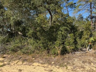 2567 SW 176th Loop, Ocala, FL 34473