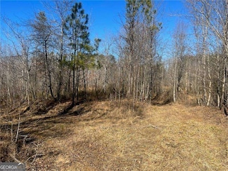 04 Jerusalem Church Rd, Big Canoe, GA 30143