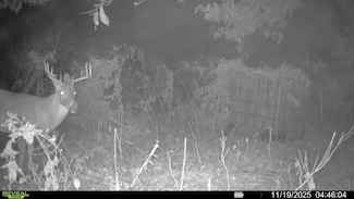 00 Copeland Rd, Crawfordsville, AR 72327