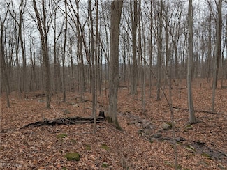 0 Thwing Rd, Chardon, OH 44024