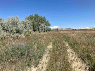 TBD Road 5n, Powell, WY 82435