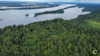 9971 Birdsong Rd, Holladay, TN 38341