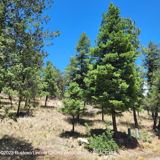 303 Crown Dr, Ruidoso, NM 88345