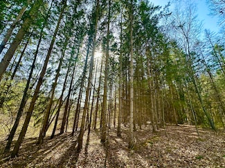 0 Buckhorn Lake Rd Unit 24020678, Holly, MI 48442