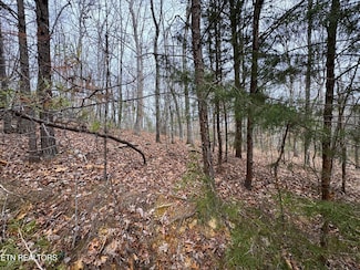 1138 Mayflower Ln, Dandridge, TN 37725