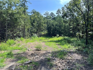 0089 Tract 8 & 9 Goats Bluff Rd, Wister, OK 74966