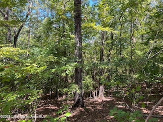 Lot 20 Fern Ridge Dr, Dadeville, AL 36853