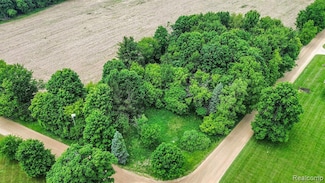 5227 Old State Rd, North Branch, MI 48461
