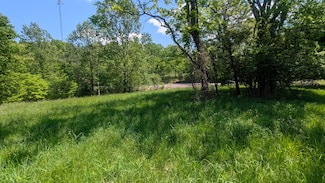 337 Old Dobbins Pike 3, Portland, TN 37148
