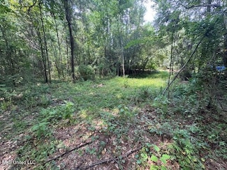 0 Old Highway 24, Centreville, MS 39631