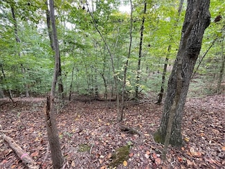 LOT 296 Oconee Ave, Chickasaw Point, SC 29693