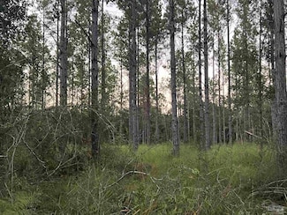 LOT 1 Wallace Lake Rd, Pace, FL 32570