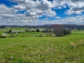 0 Tbd Highway 93 Unit LotWO001, Fall Branch, TN 37656