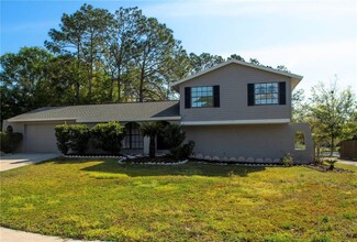 15919 Countrybrook St, Tampa, FL 33624