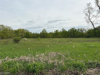 1648 (2) Footville Richmond Rd, Jefferson, OH 44047