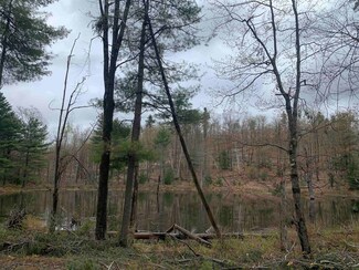 Map 52 Lot 2A Pratt Rd, Alstead, NH 03602