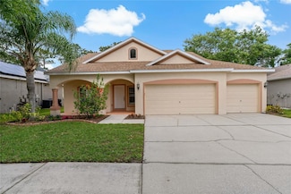 12814 Cattail Shore Ln, Riverview, FL 33579