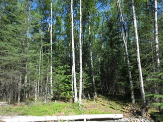 L8 Saxton Ct, Hope, AK 99605