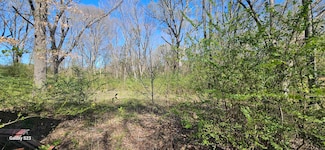 2415 Farm To Market Road 17, Alba, TX 75410