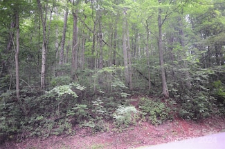 132 Ironwood Ln Unit C17/C18, Black Mountain, NC 28711