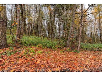 0 Old Mohawk Rd Unit 23091856, Springfield, OR 97478