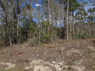 Lot 16 Westview Ave, Rainbow Lakes Estates, FL 34431