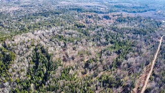 Map 04 Lots #2-15 2-16 Yellow Birch Rd, Whiting, ME 04691