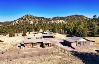 54 County Road 2180, Nutrioso, AZ 85932