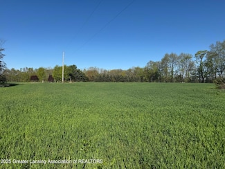 Lot A Stoney Ln, Hamlin Township, MI 48827