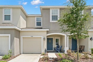 7008 Summer Holly Place, Riverview, FL 33578