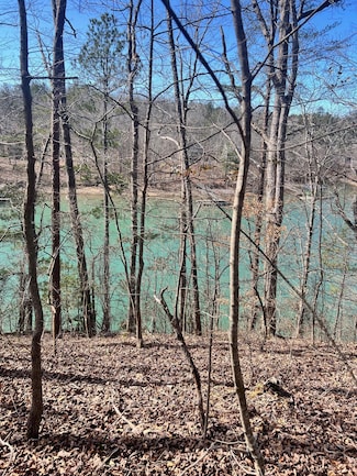 LOT 6 T C Downs Subdivision, Double Springs, AL 35553