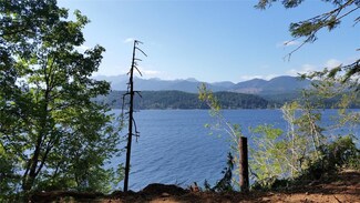 0 NE Spectacular Olympic View Dr Unit 828352, Tahuya, WA 98588